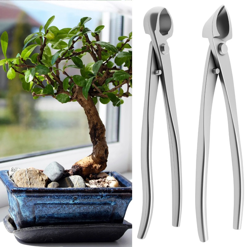 Bonsai Garden Timings - Practical Bonsai Beauty Set Stainless Steel