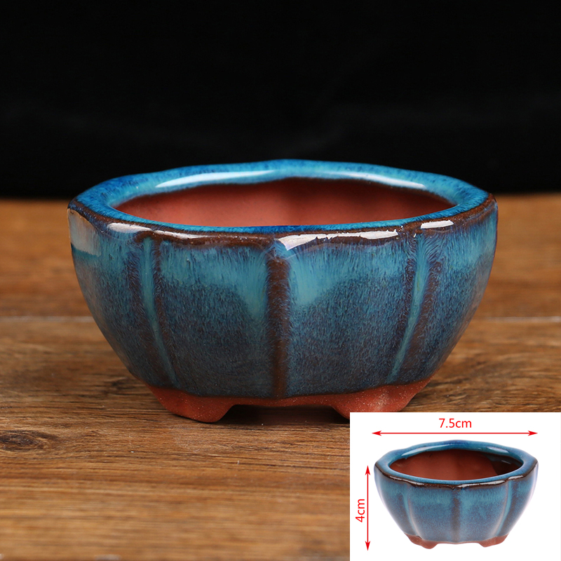 1pcs Bonsai Mini Ceramic Flowe - Japanese Garden Bonsai のレビューと価格