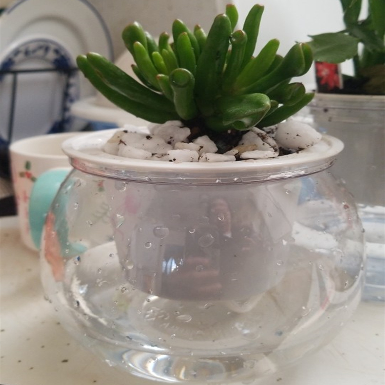 Self Watering Planter Pots Min - Japanese Garden Bonsai のレビューと価格