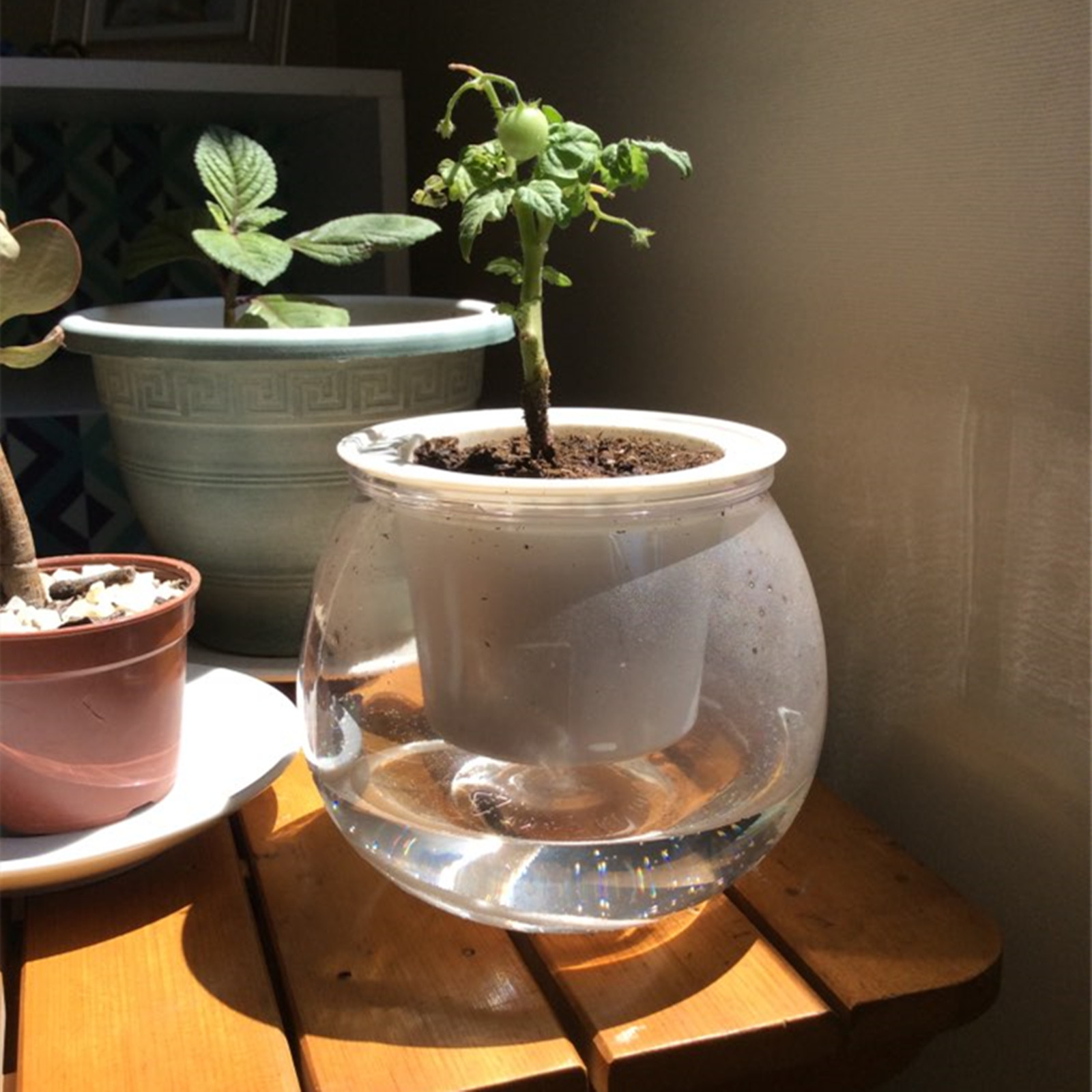 Self Watering Planter Pots Min - Japanese Garden Bonsai のレビューと価格