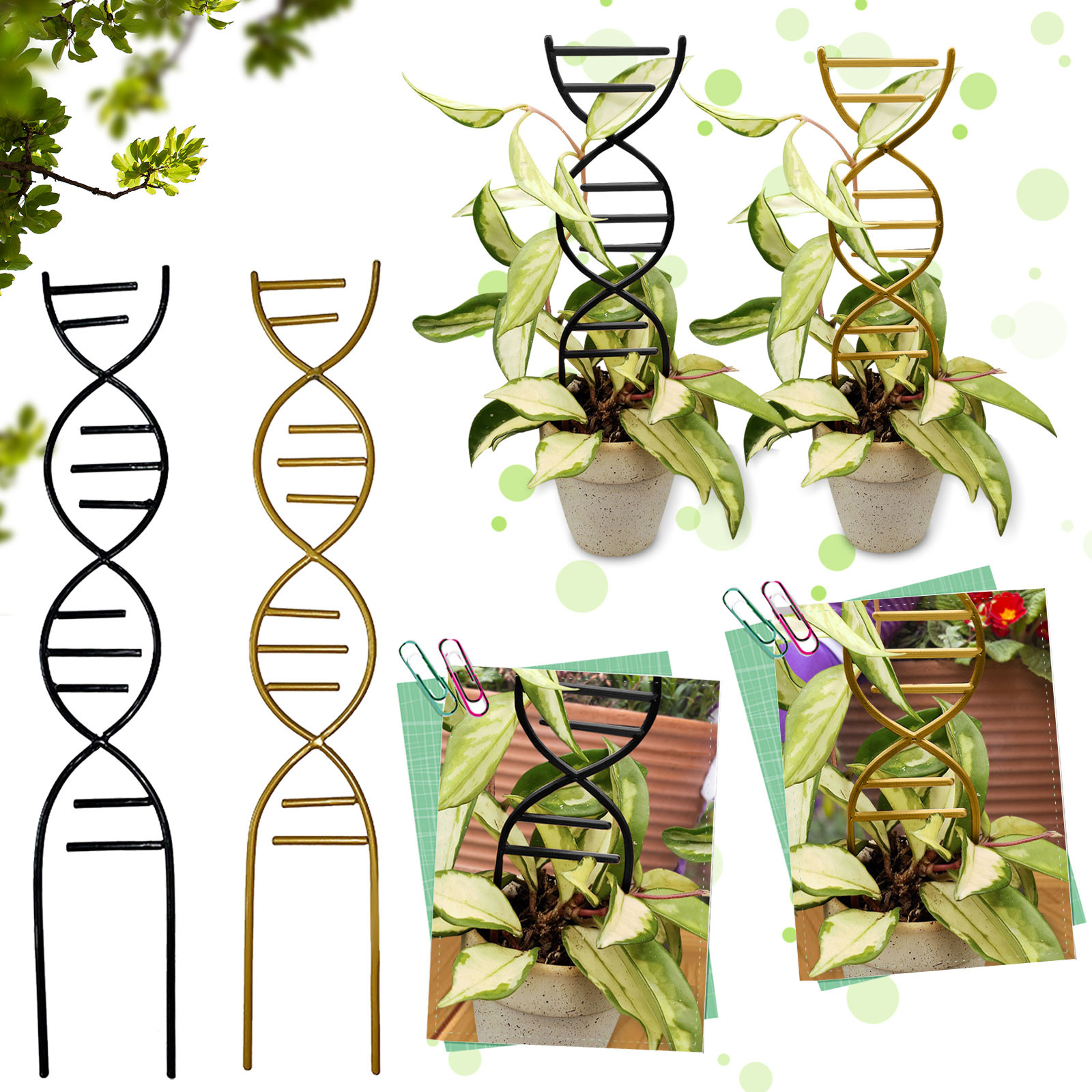 Plant Climbing Support Gardens - Bonsai Garden Tools のレビューと価格
