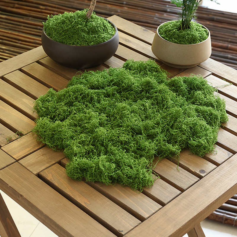 about 20g Artificial Green Pla - Bonsai Garden Decor のレビューと価格