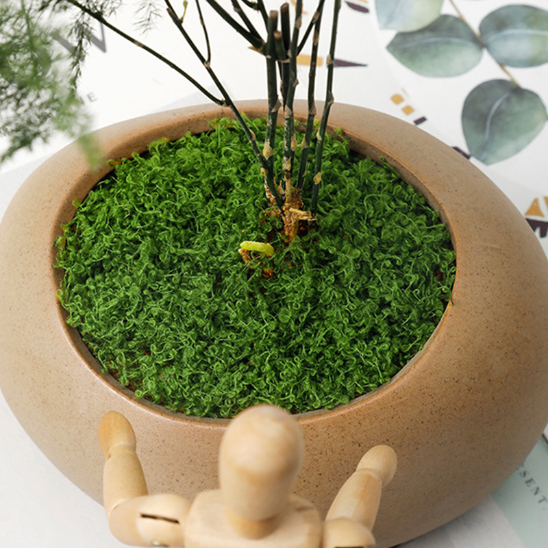 about 20g Artificial Green Pla - Bonsai Garden Decor のレビューと価格