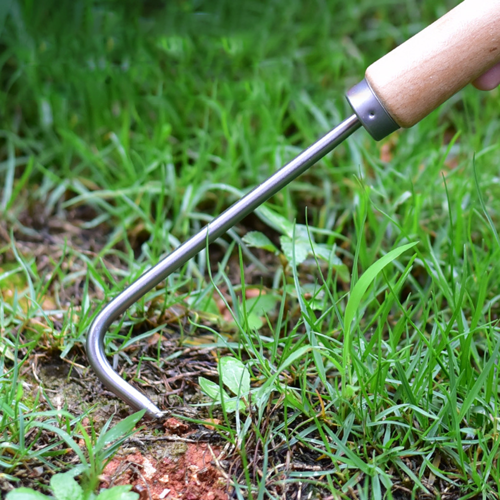 1PC Single Claw Hook Soil Loos - Bonsai Garden Tools のレビューと価格