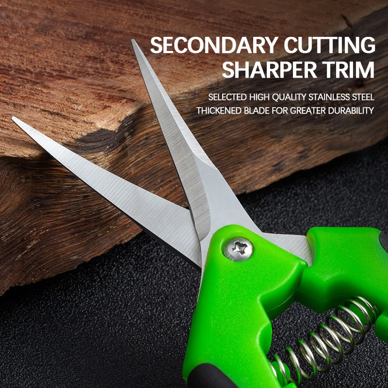 6.5-inch Pruning Scissors for  - Bonsai Garden Timings のレビューと価格