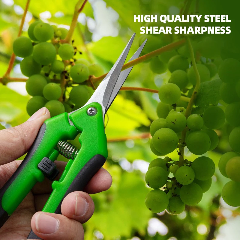 6.5-inch Pruning Scissors for  - Bonsai Garden Timings のレビューと価格