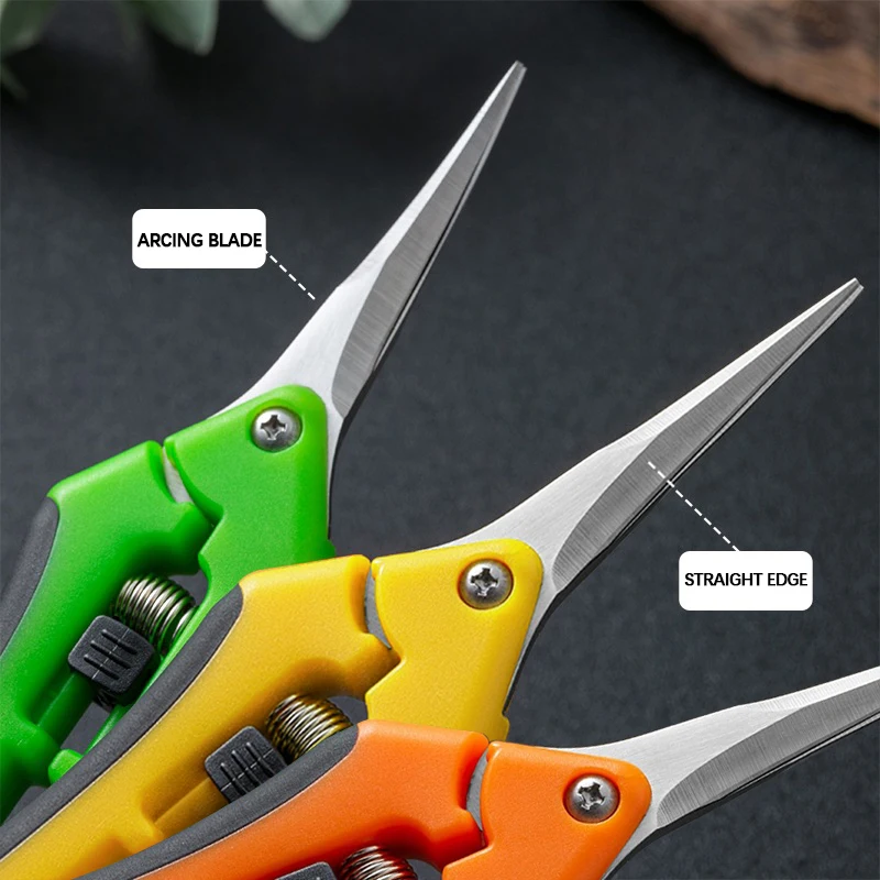6.5-inch Pruning Scissors for  - Bonsai Garden Timings のレビューと価格