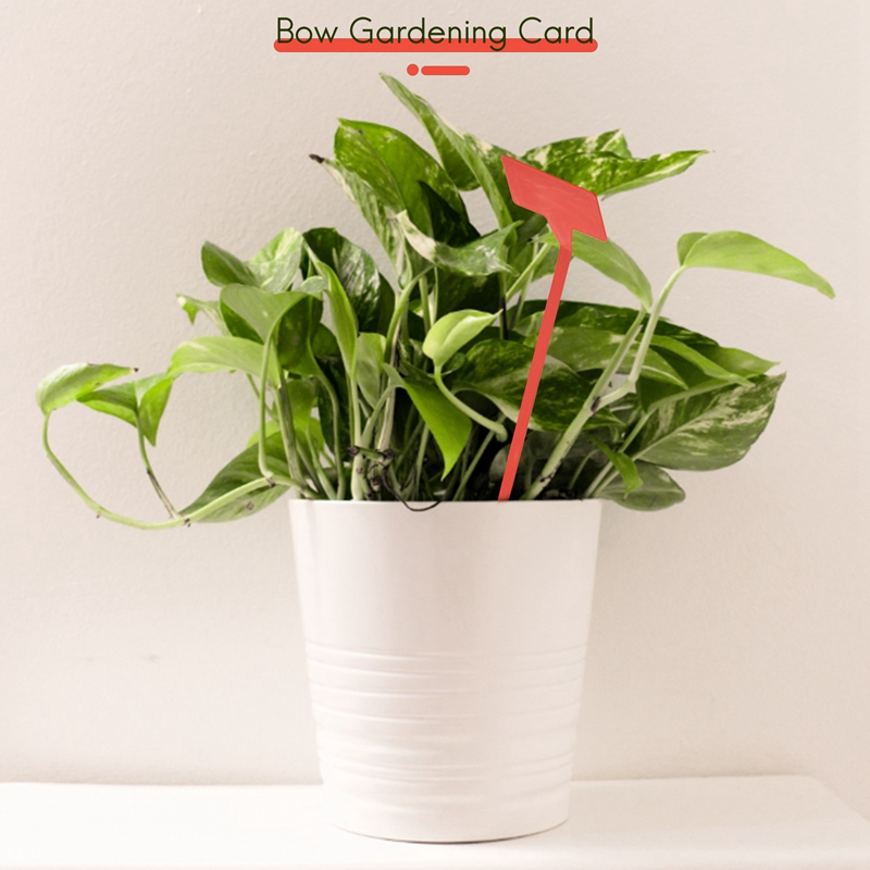 ABYP Gardens Planting Tools 50 - Bonsai Garden Tools のレビューと価格
