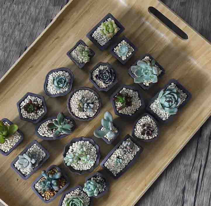 Yixing Purple Sand Flower Pot  - Japanese Garden Bonsai のレビューと価格