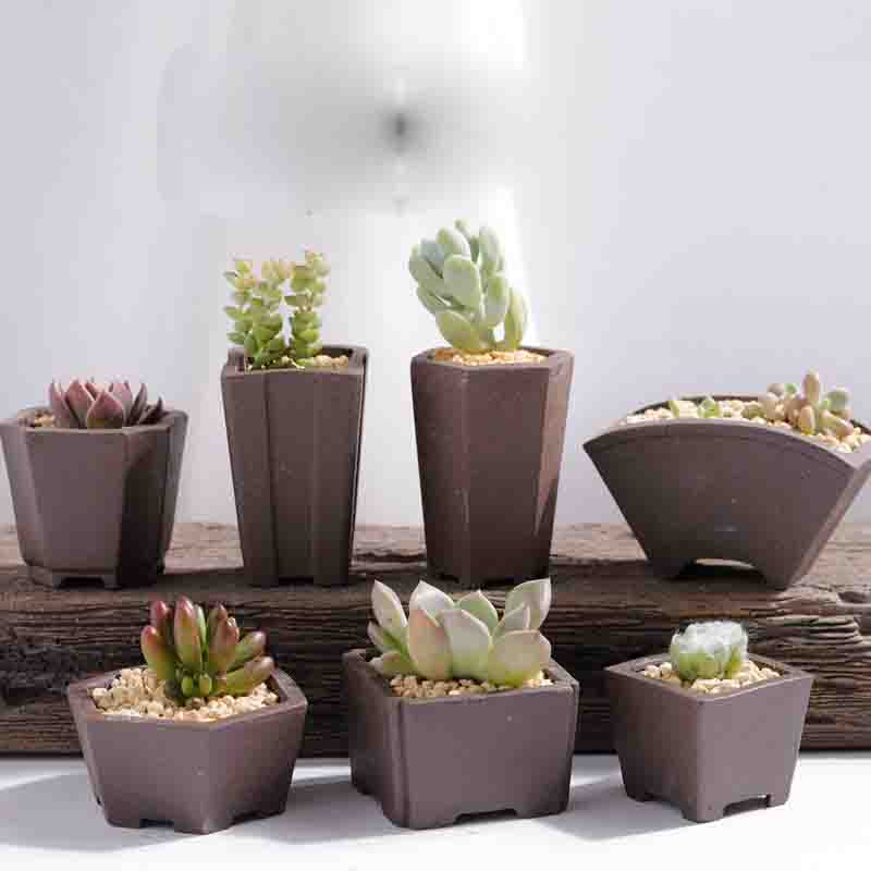 Yixing Purple Sand Flower Pot  - Japanese Garden Bonsai のレビューと価格