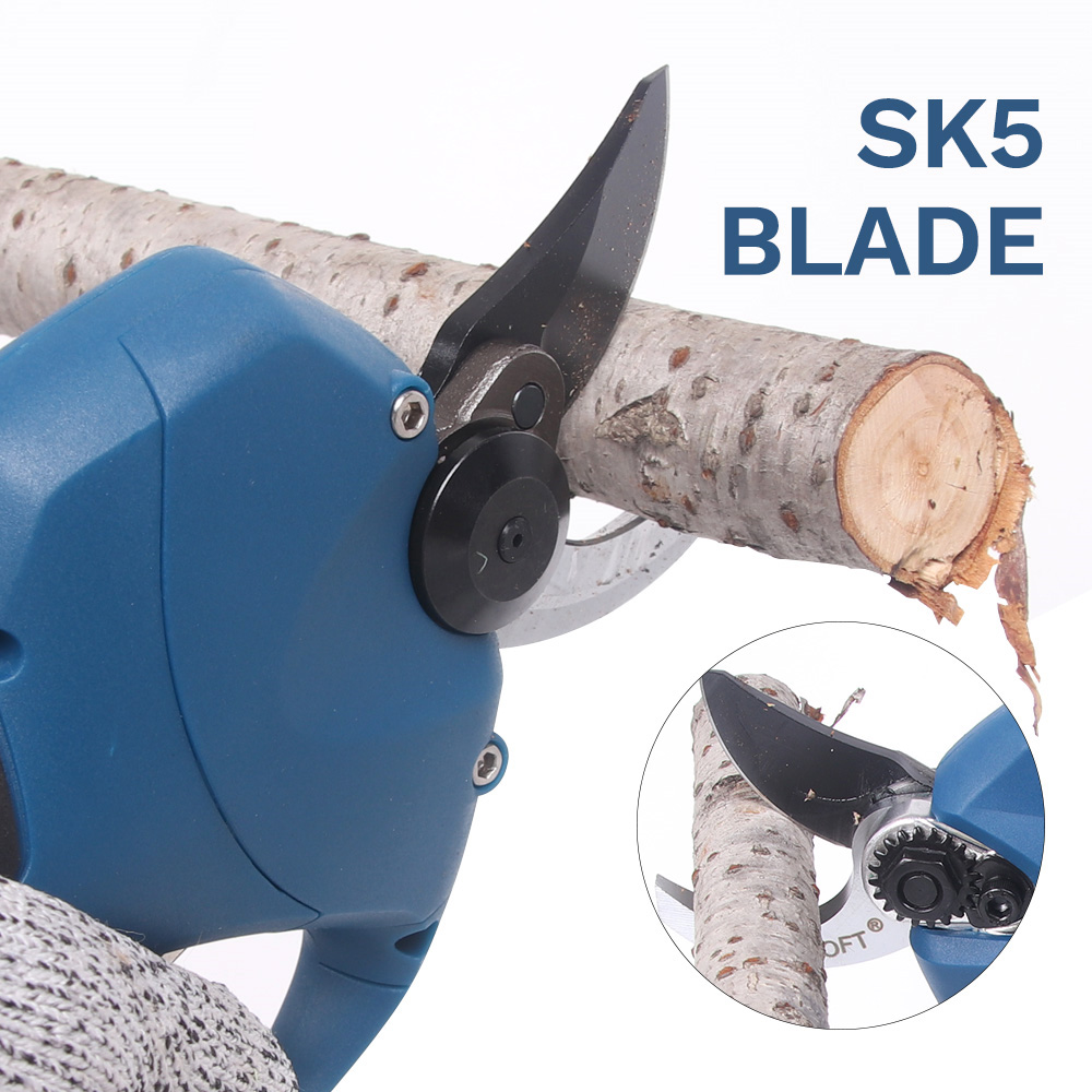 16.8V 2pc Lithium-Ion Battery  - Bonsai Garden Tools のレビューと価格