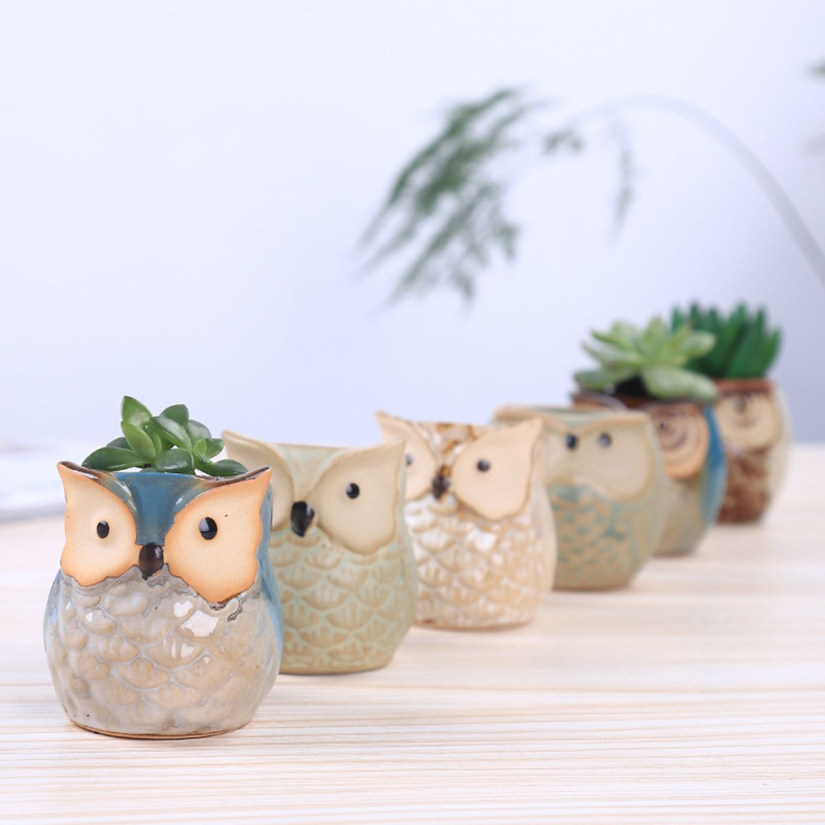 Home Garden Supplies Decoratio - Japanese Garden Bonsai のレビューと価格