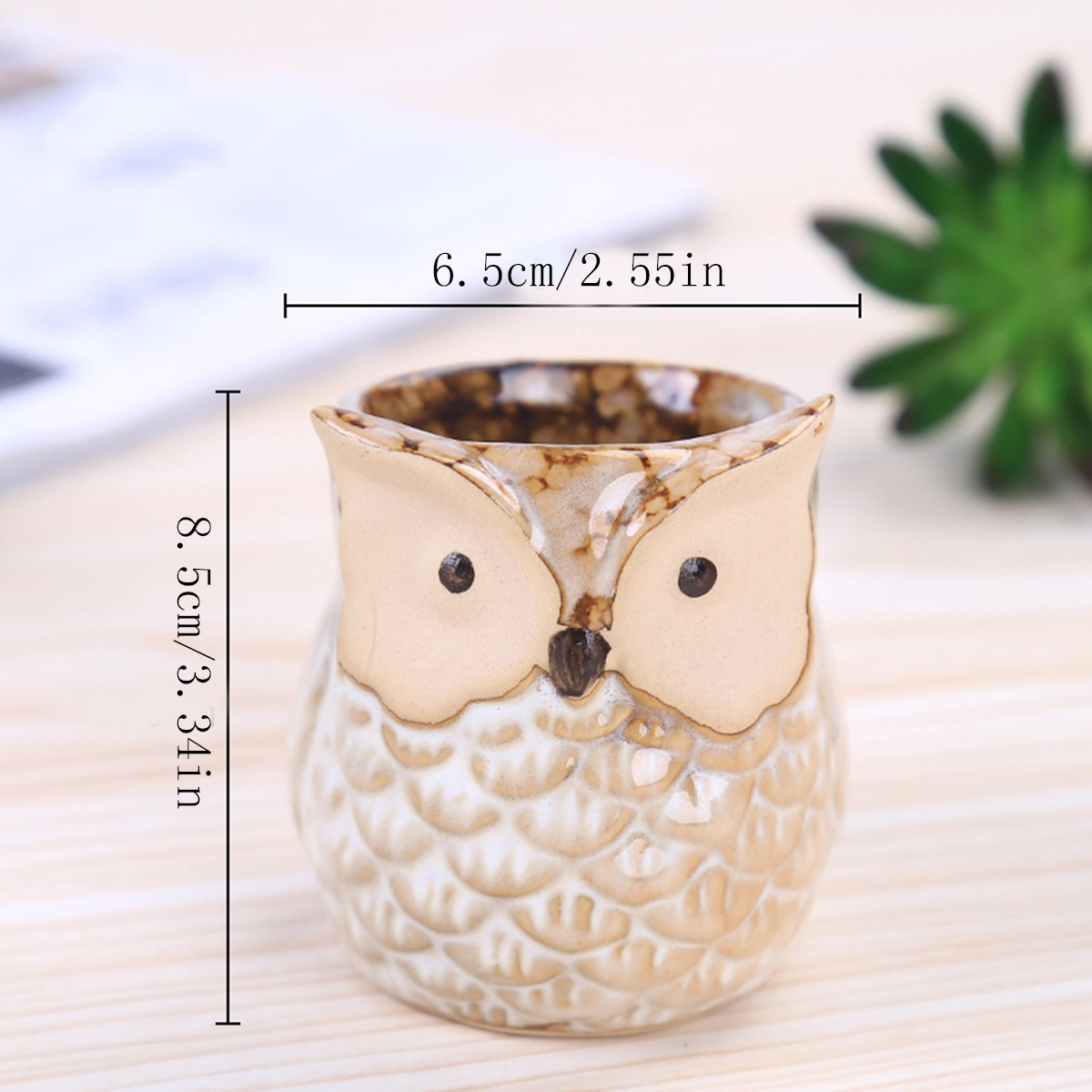 Home Garden Supplies Decoratio - Japanese Garden Bonsai のレビューと価格