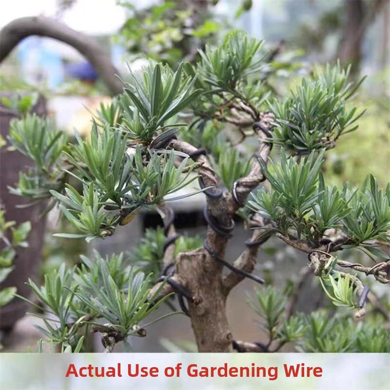 1.5MM Bonsai Wires Aluminum Bo - Bonsai Garden Tools のレビューと価格