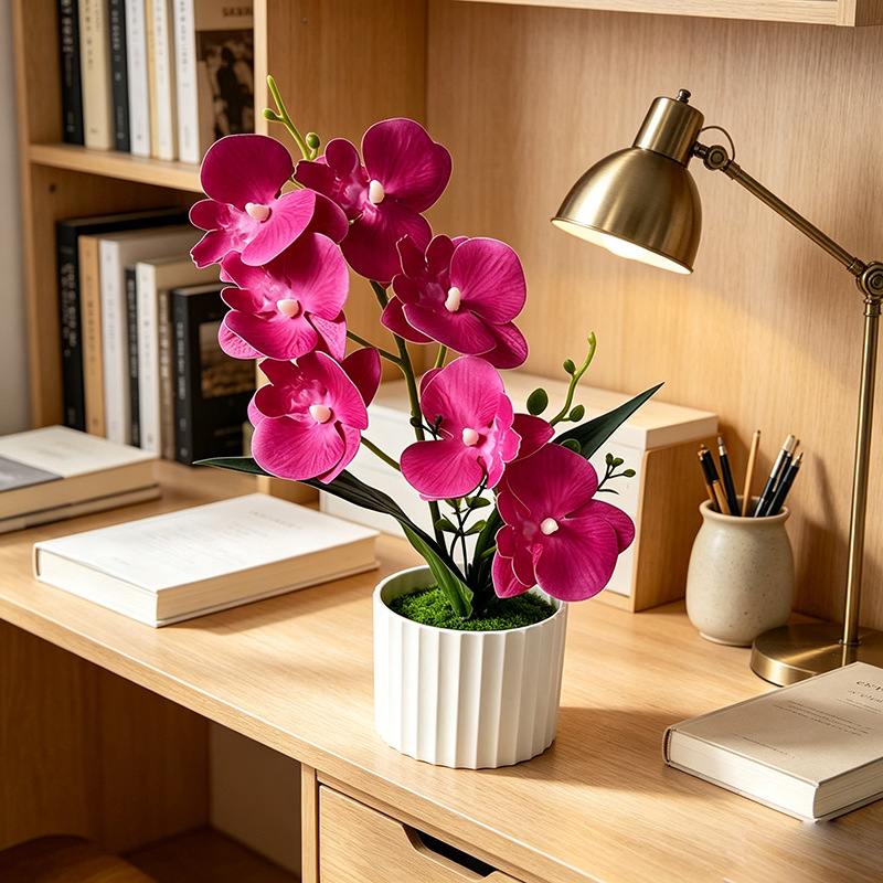 Butterfly Orchid 7-Flower Vert - Bonsai Garden Decor のレビューと価格