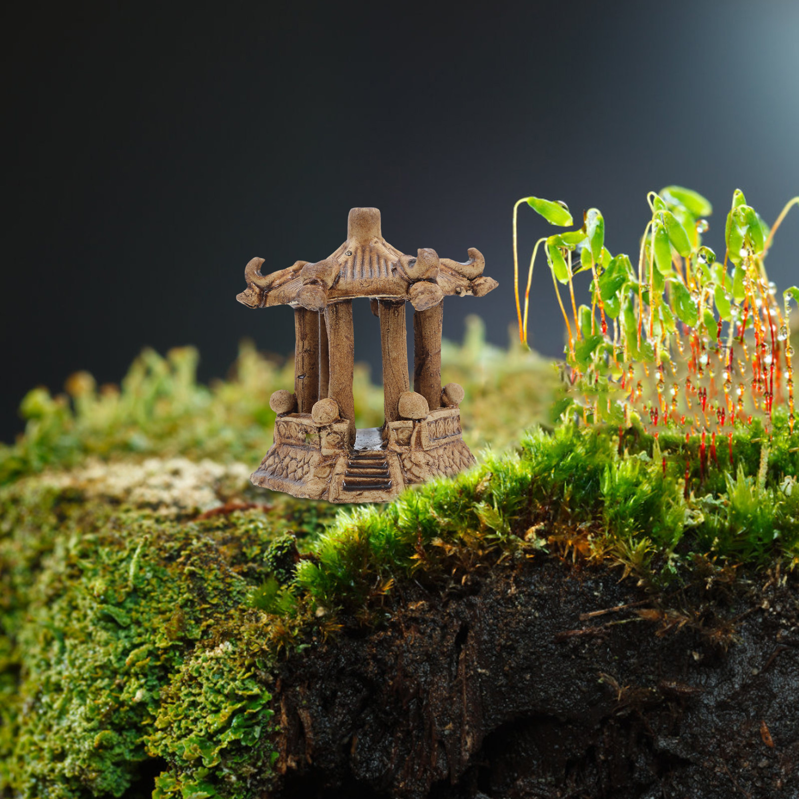 Miniature Ceramic Hexagonal Pa - Bonsai Garden Decor のレビューと価格