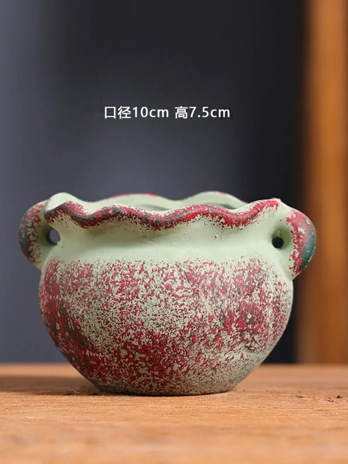 Mediterranean Succulent Flower - Japanese Garden Bonsai のレビューと価格