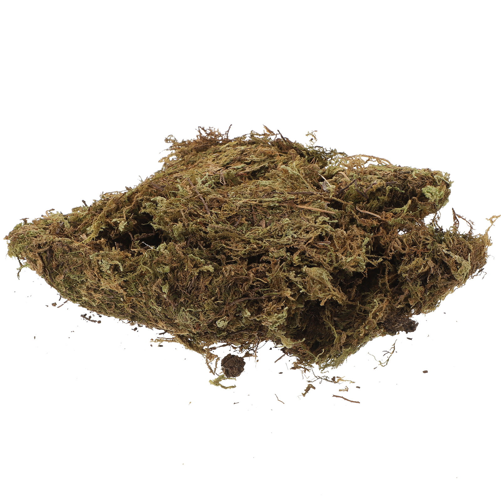 Dried Moss Packs Micro Scene P - Bonsai Garden Decor のレビューと価格