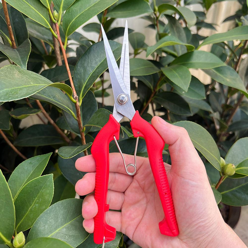 Pro Garden Pruning Shears Leng - Bonsai Garden Tools のレビューと価格