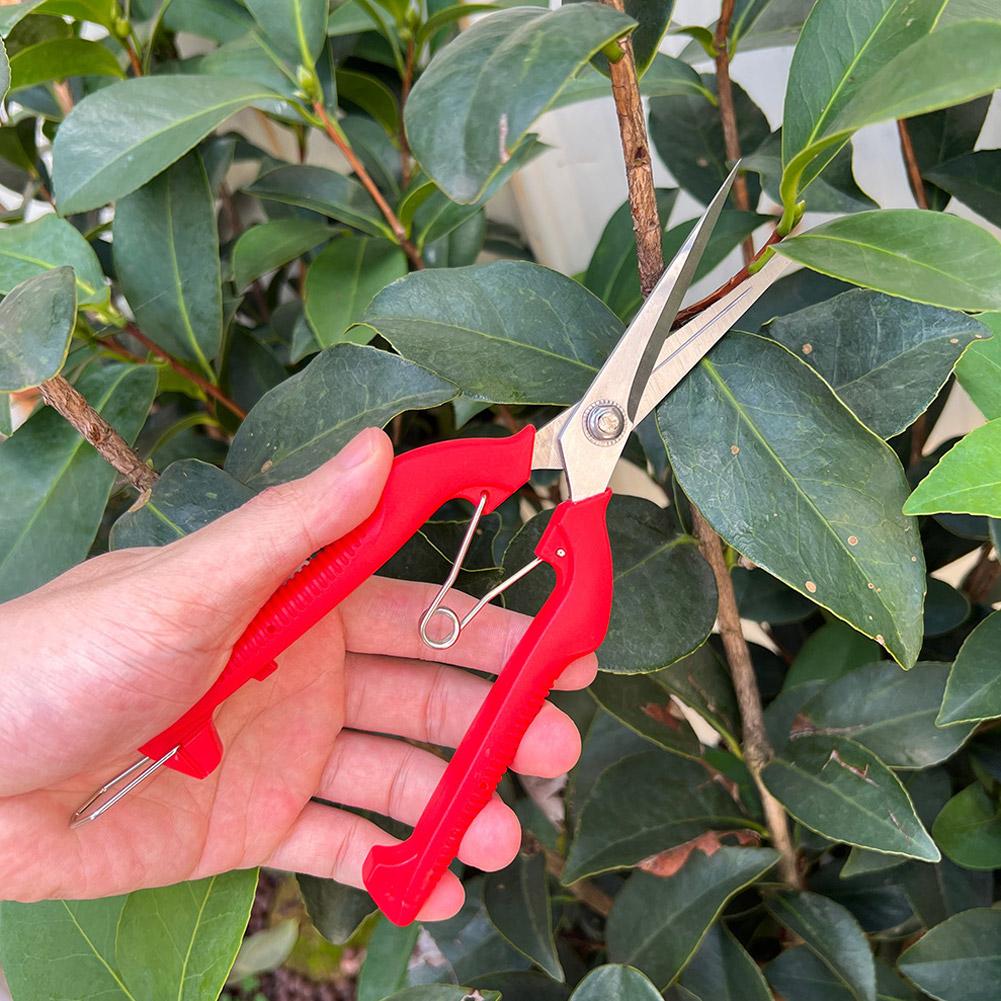 Pro Garden Pruning Shears Leng - Bonsai Garden Tools のレビューと価格