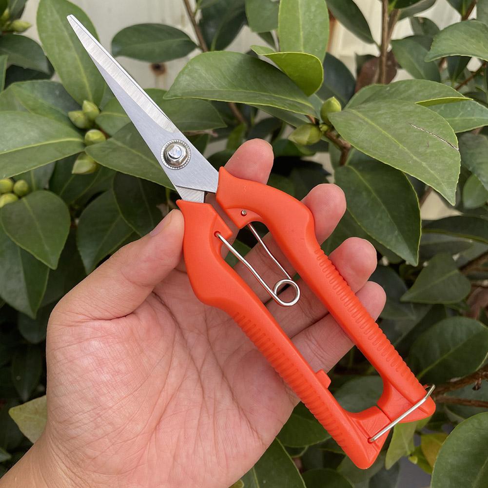 Pro Garden Pruning Shears Leng - Bonsai Garden Tools のレビューと価格