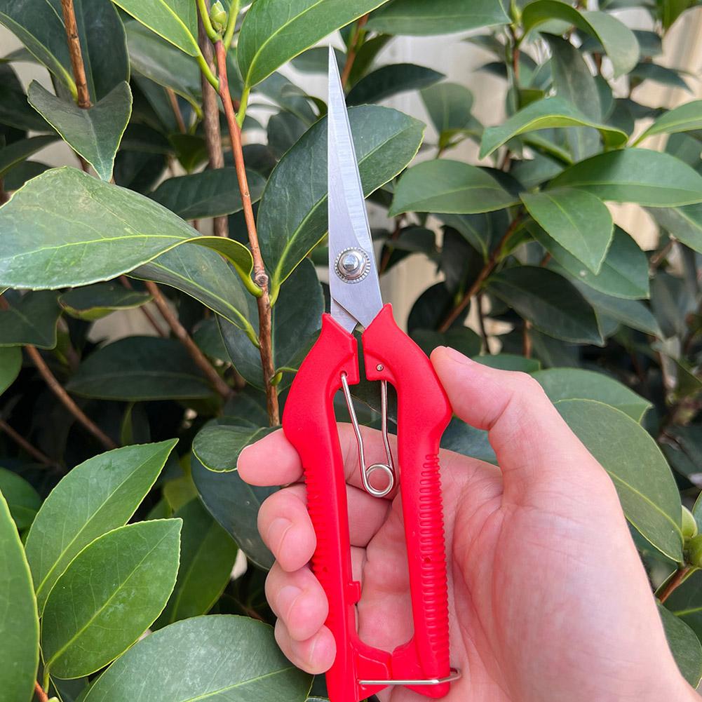 Pro Garden Pruning Shears Leng - Bonsai Garden Tools のレビューと価格