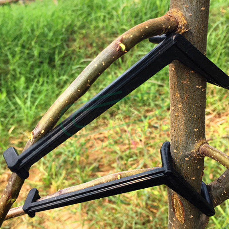 10-30Pcs Fruit Tree Clips Plan - Bonsai Garden Tools のレビューと価格