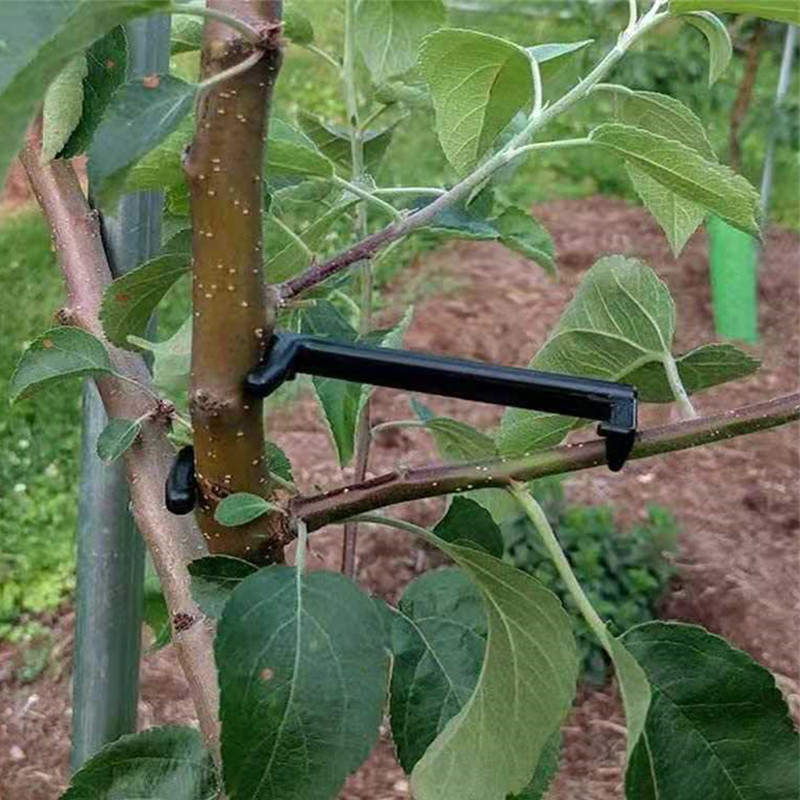 10-30Pcs Fruit Tree Clips Plan - Bonsai Garden Tools のレビューと価格