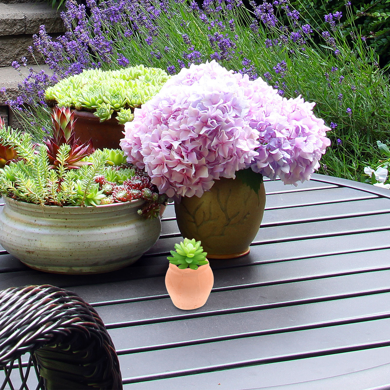Mini Ceramic Flower Pot Plante - Japanese Garden Bonsai のレビューと価格